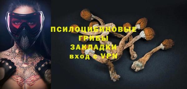 гашик Балабаново