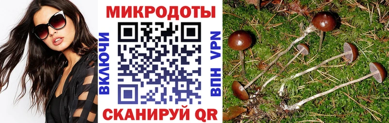 Купить закладки  Сокол  Псилоцибиновые грибы прущие грибы 